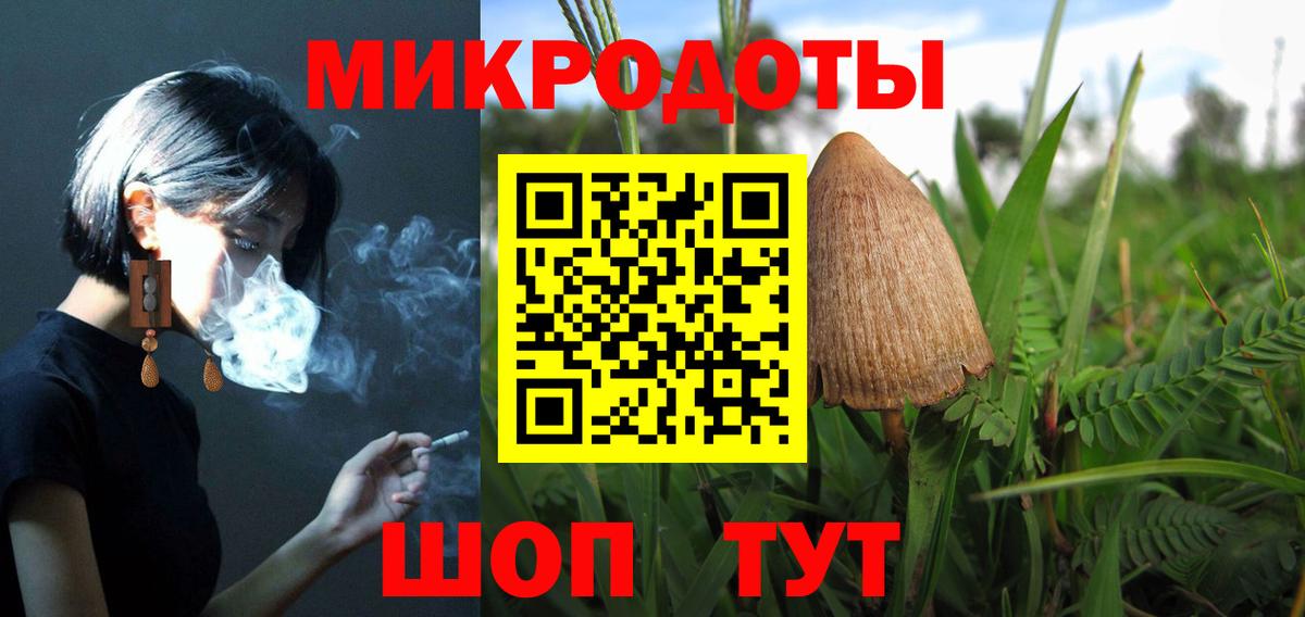 Псилоцибиновые грибы мицелий Новочеркасск