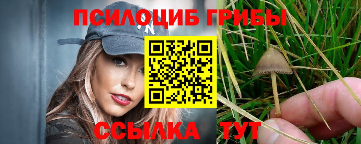Галлюциногенные грибы MAGIC MUSHROOMS  Вход с VPN  даркнет сайт  Новочеркасск 